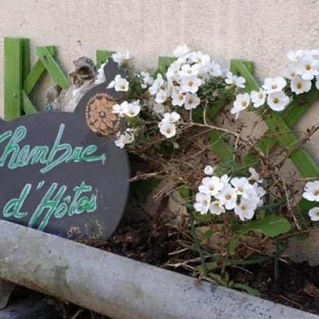 La Maison Des Fleurs Scrignac Exteriör bild