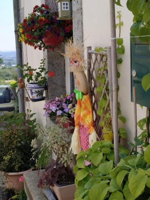 La Maison Des Fleurs Scrignac Exteriör bild